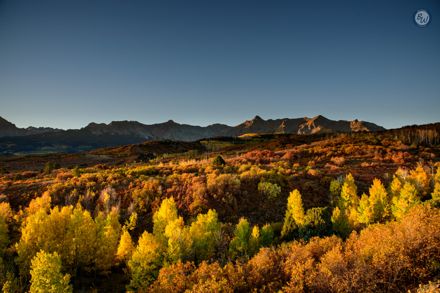 Dallas Divide