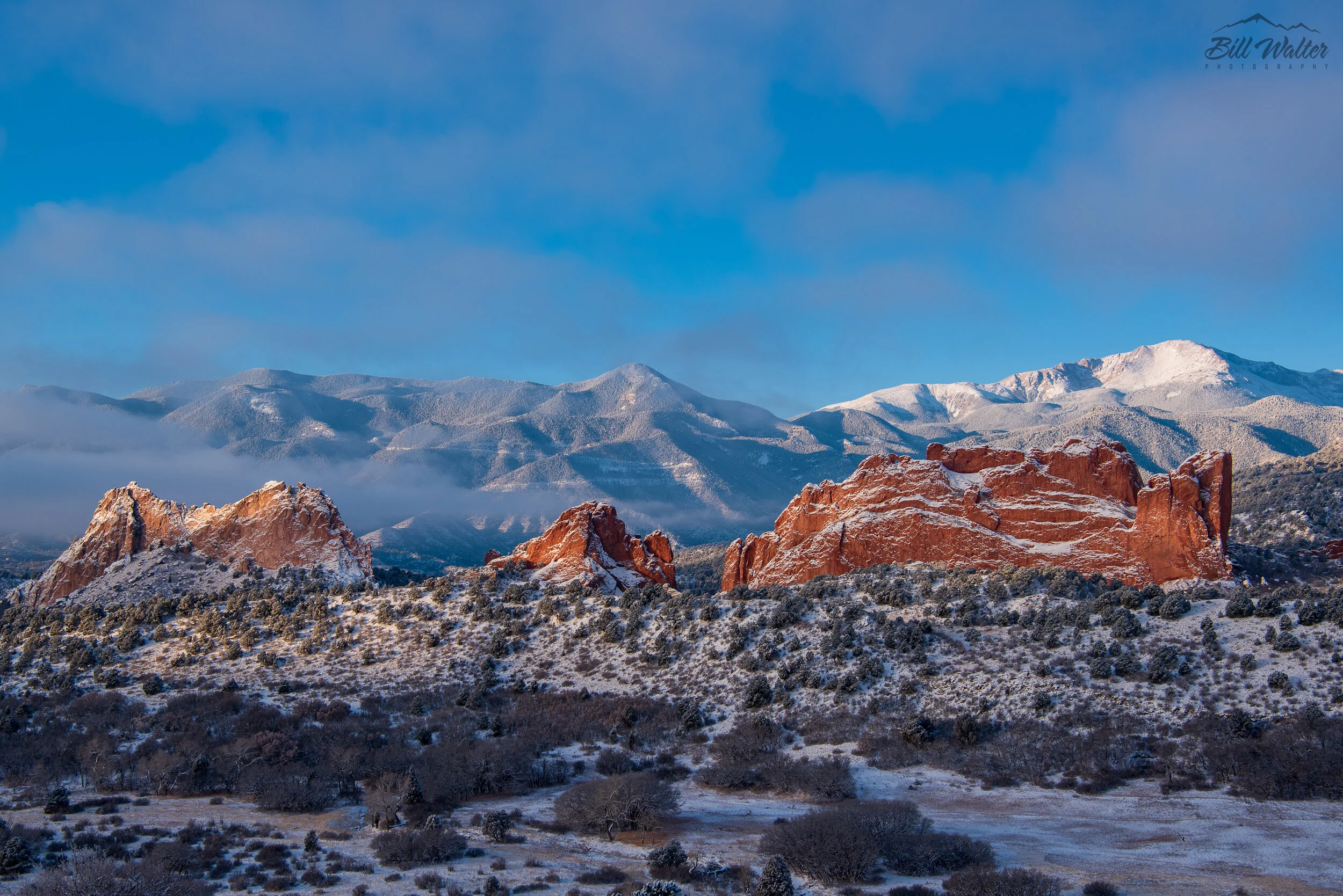 _DSC3179.jpg