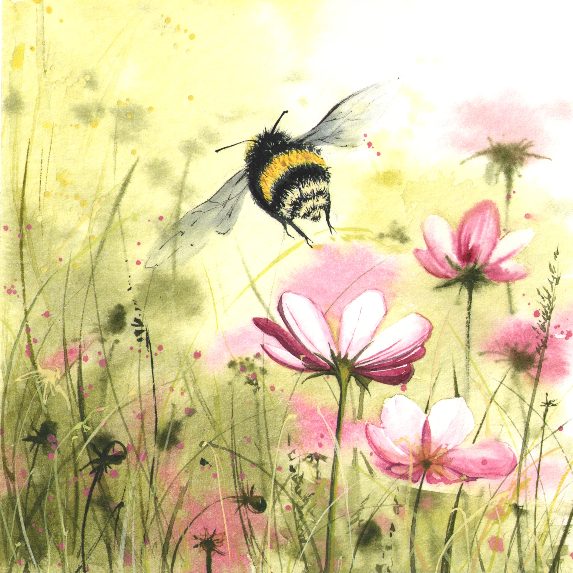 Bee 1.jpg