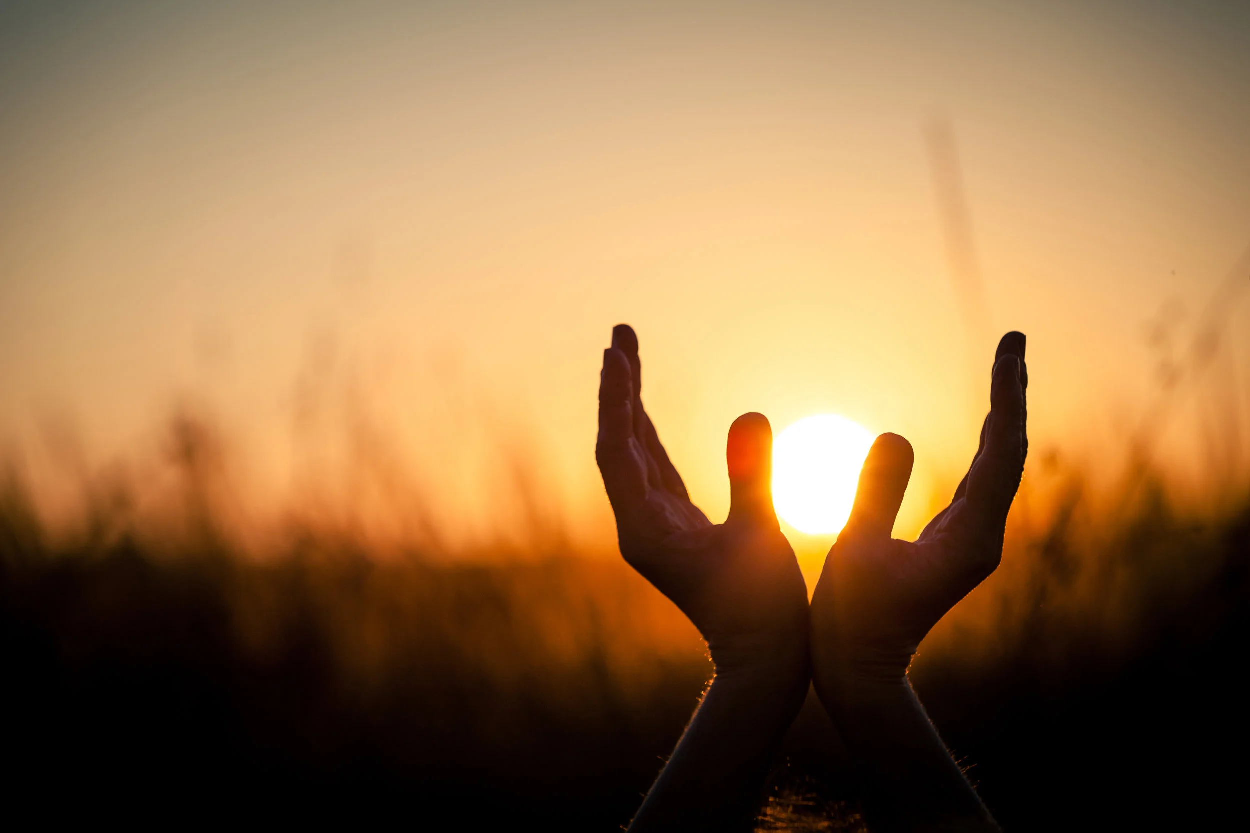 Reiki 2 Hands Up Sun.jpg