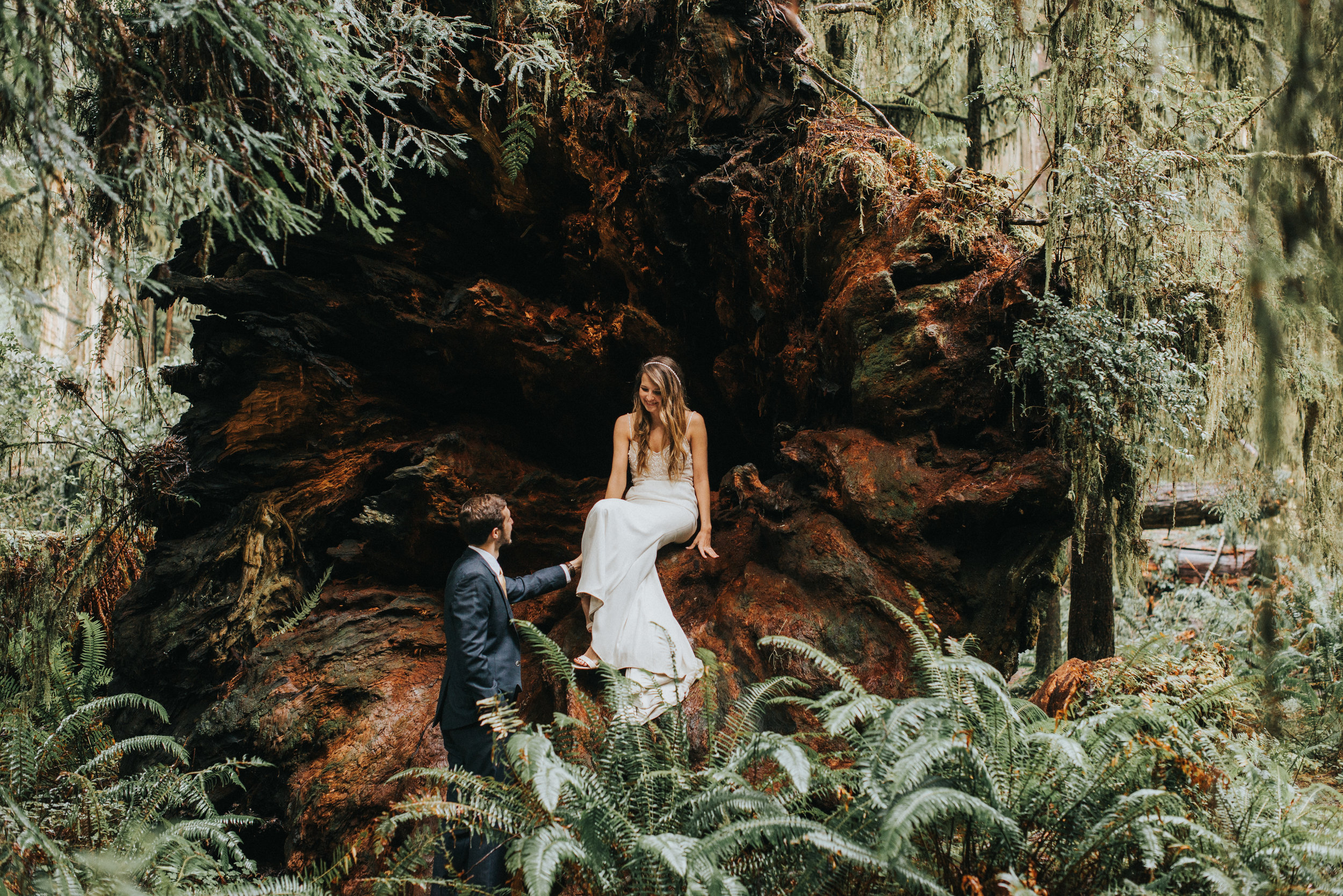 Redwood Forest Wedding
