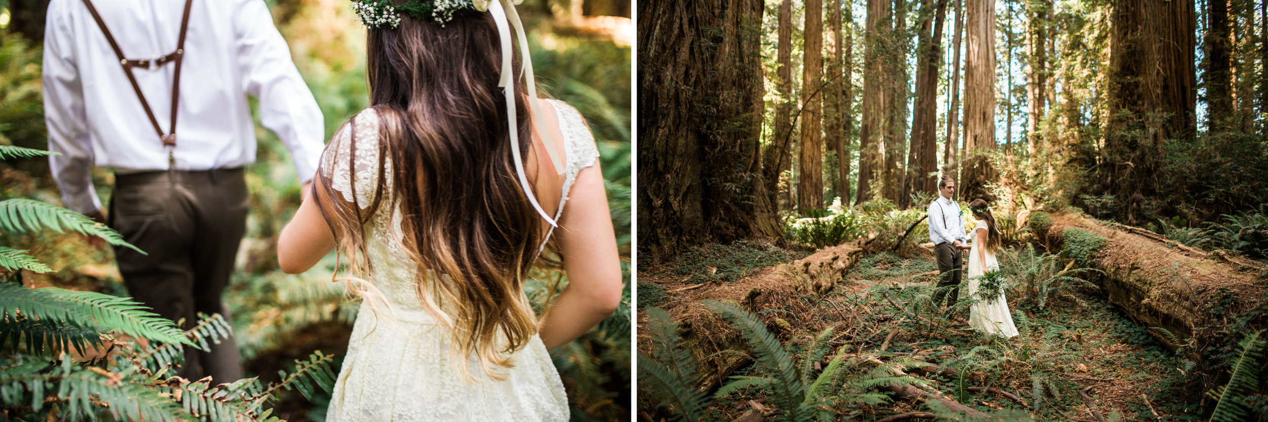 Redwoods Collage.jpg