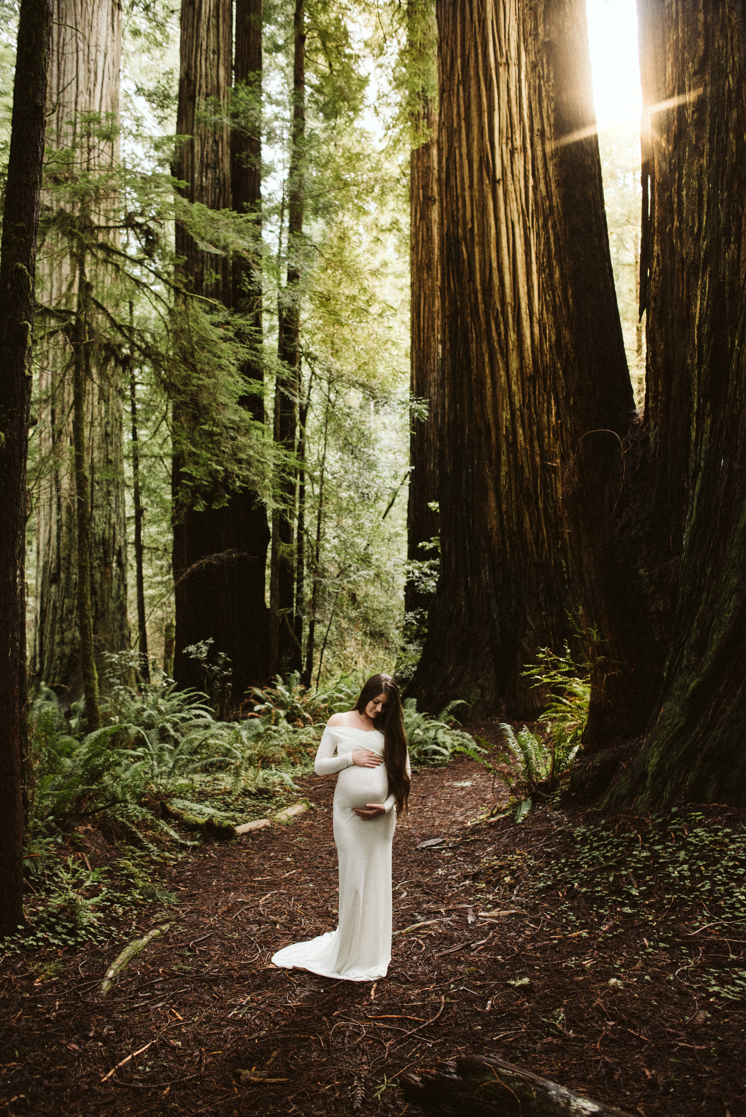 Maya Redwoods Maternity-18.jpg