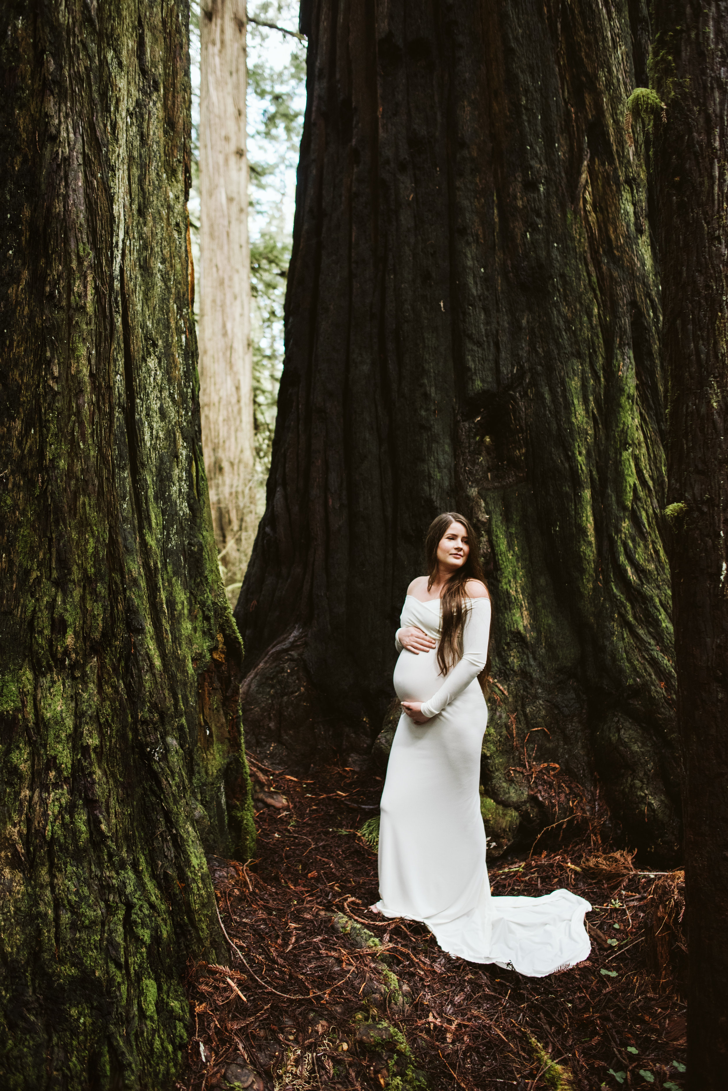 Maya Redwoods Maternity-25.jpg