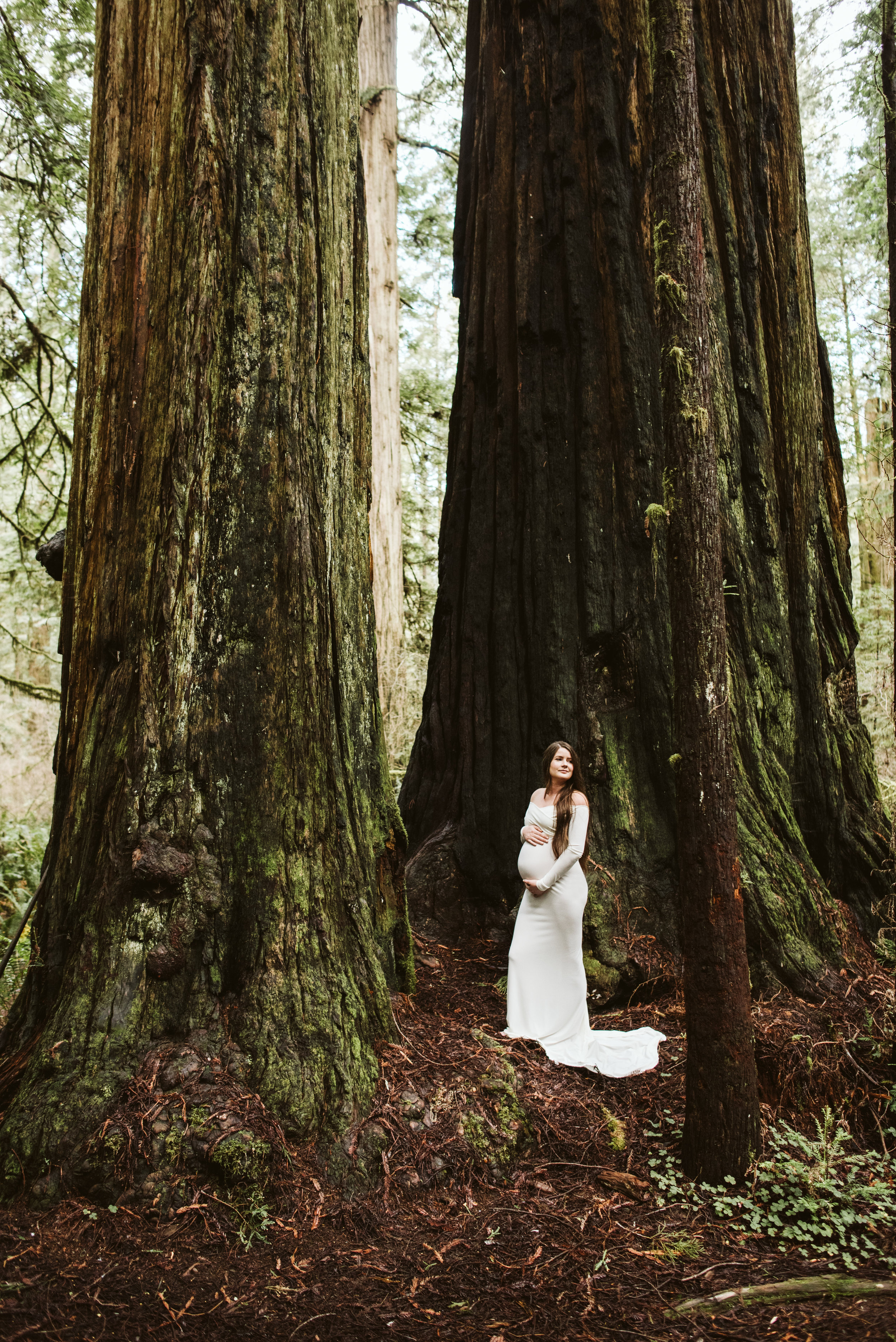 Maya Redwoods Maternity-24.jpg