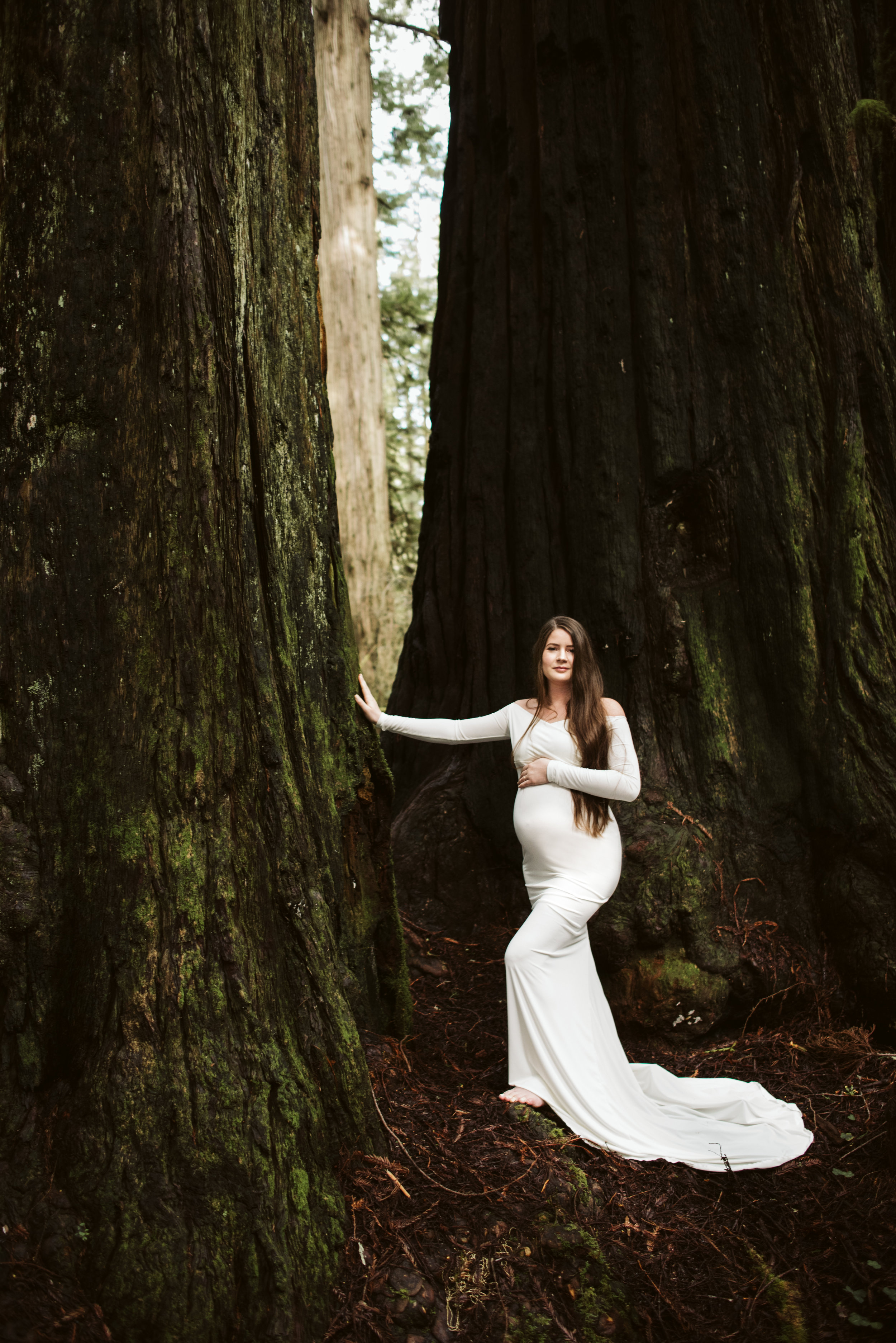 Maya Redwoods Maternity-26.jpg