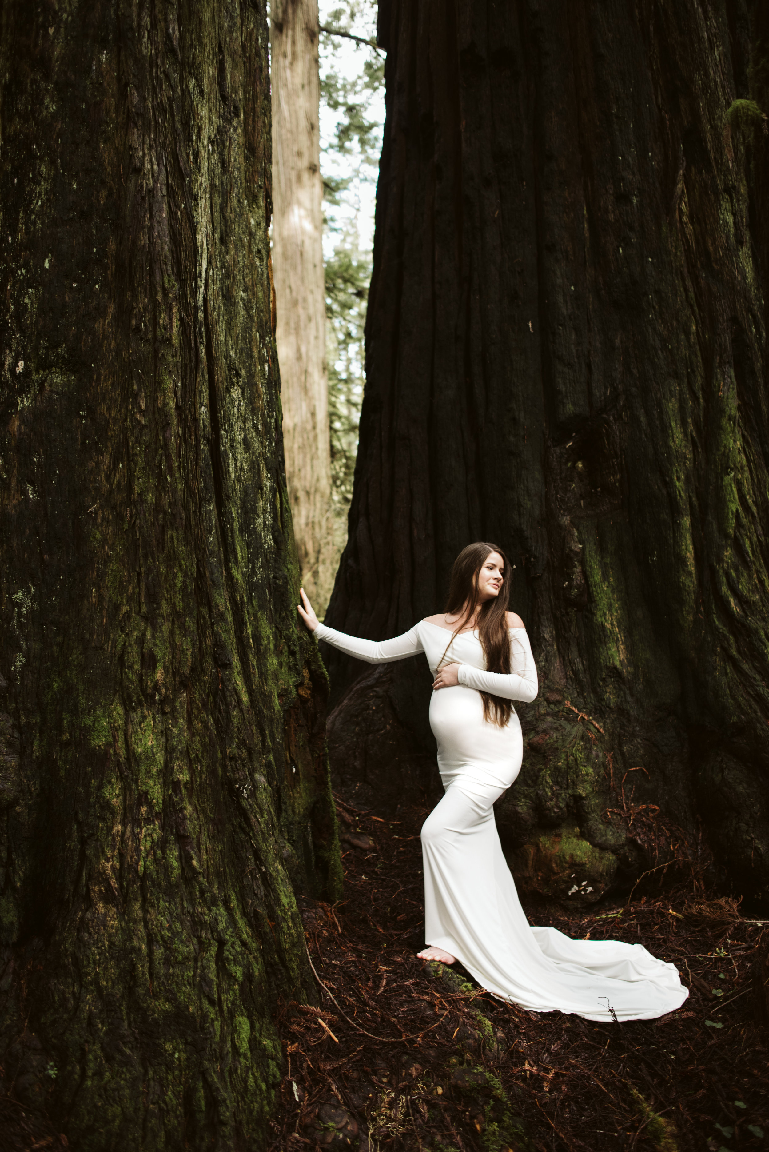 Maya Redwoods Maternity-27.jpg