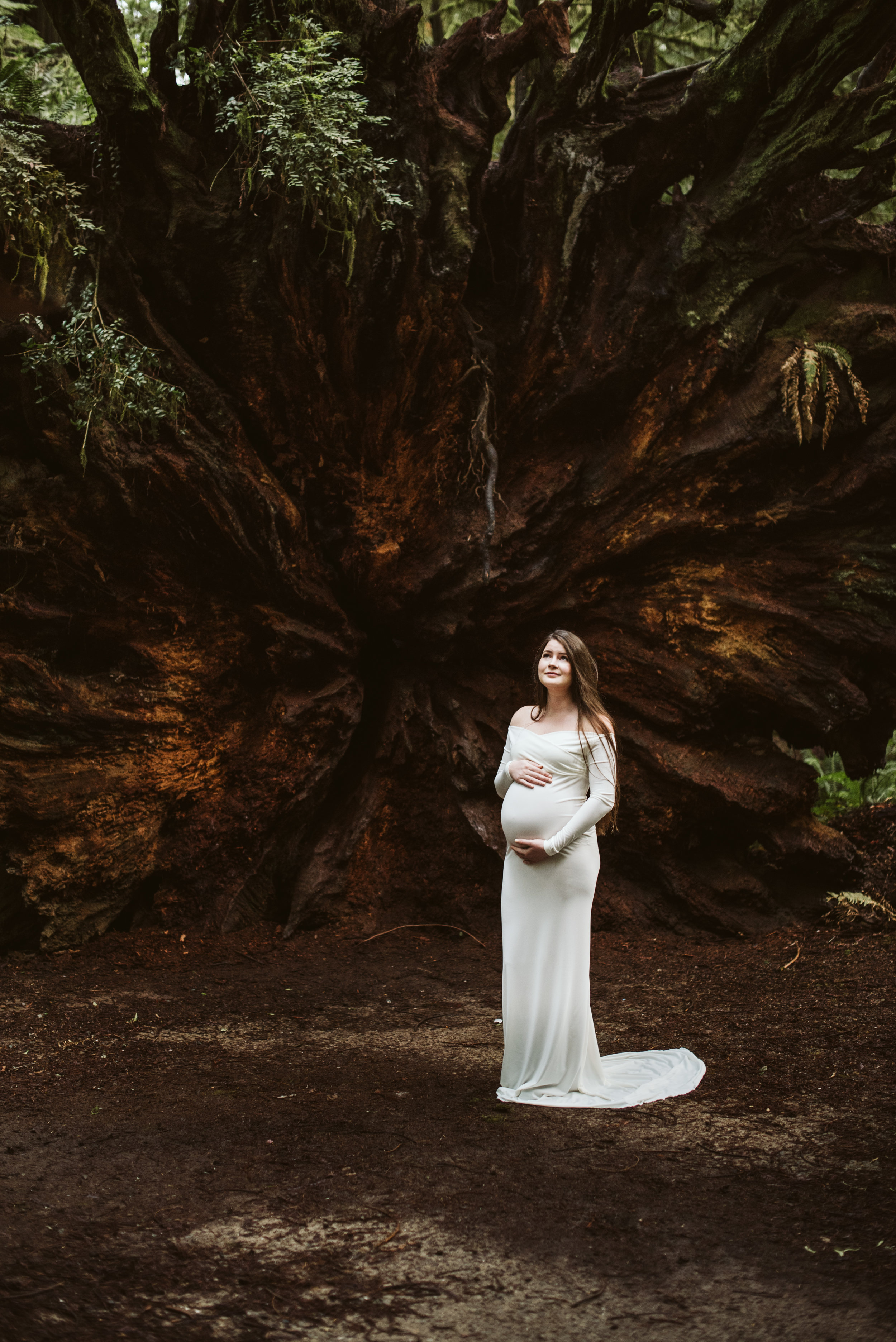 Maya Redwoods Maternity-35.jpg