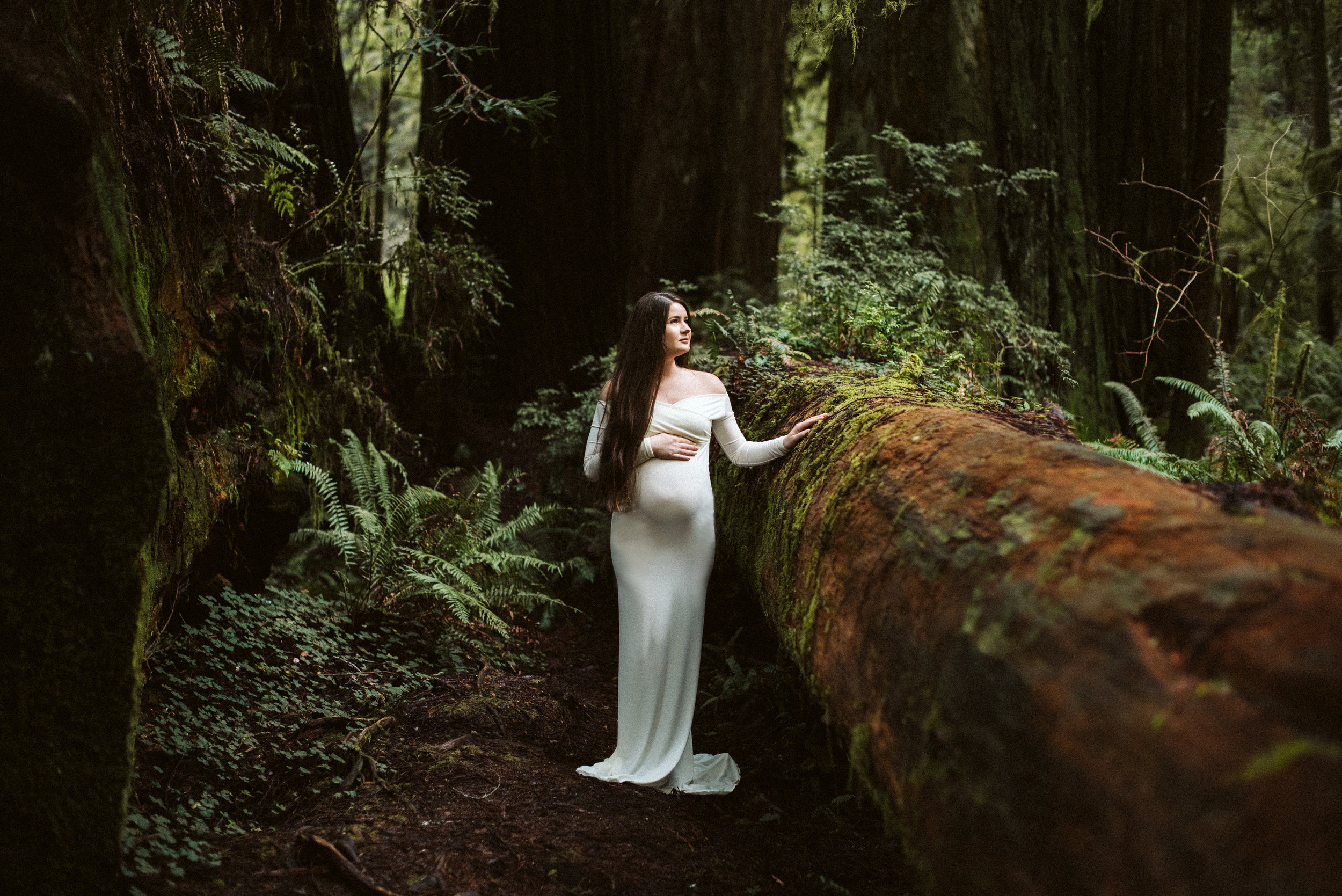 Maya Redwoods Maternity-39.jpg