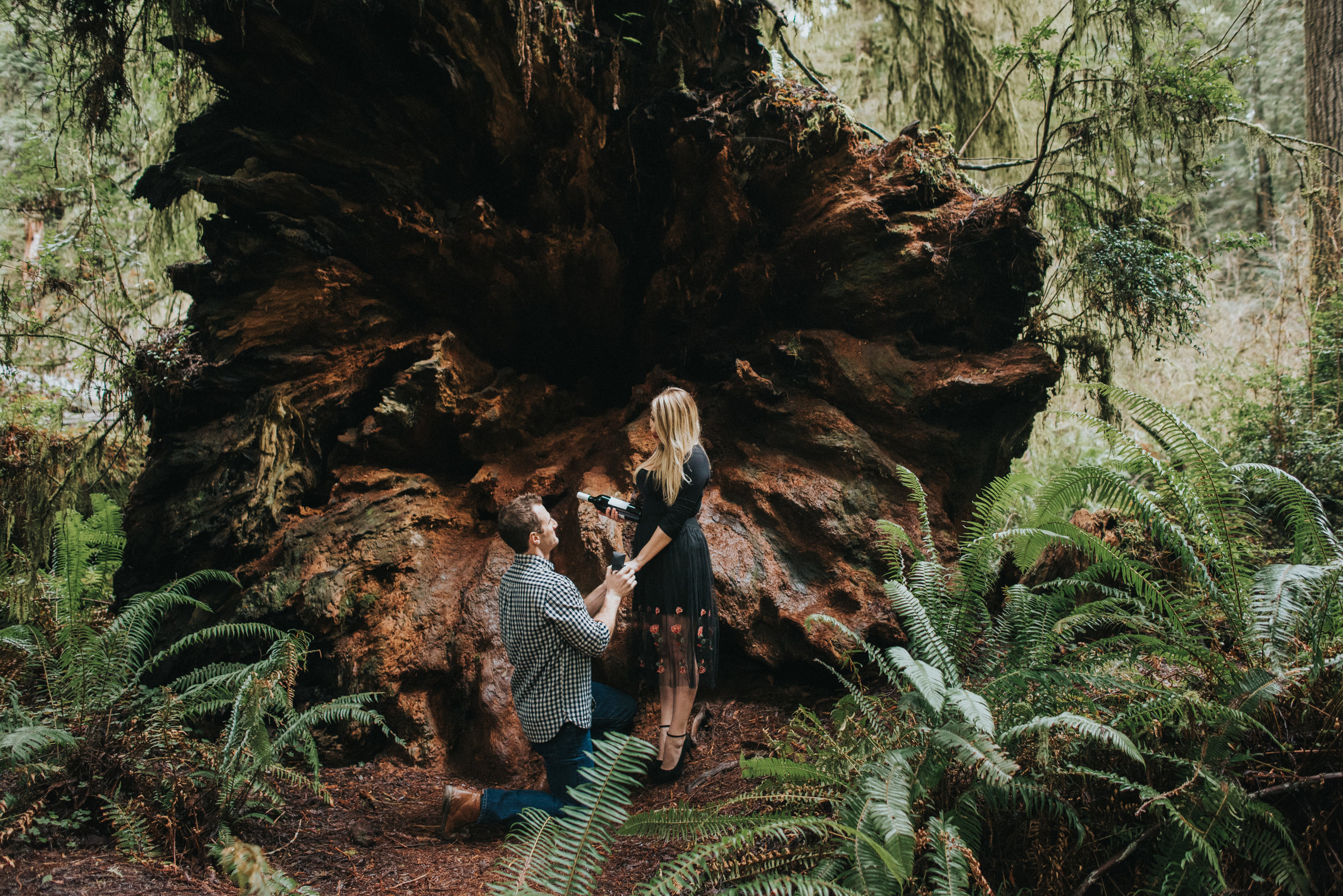 Thyla and Nick Redwoods Engagement Session-32.jpg