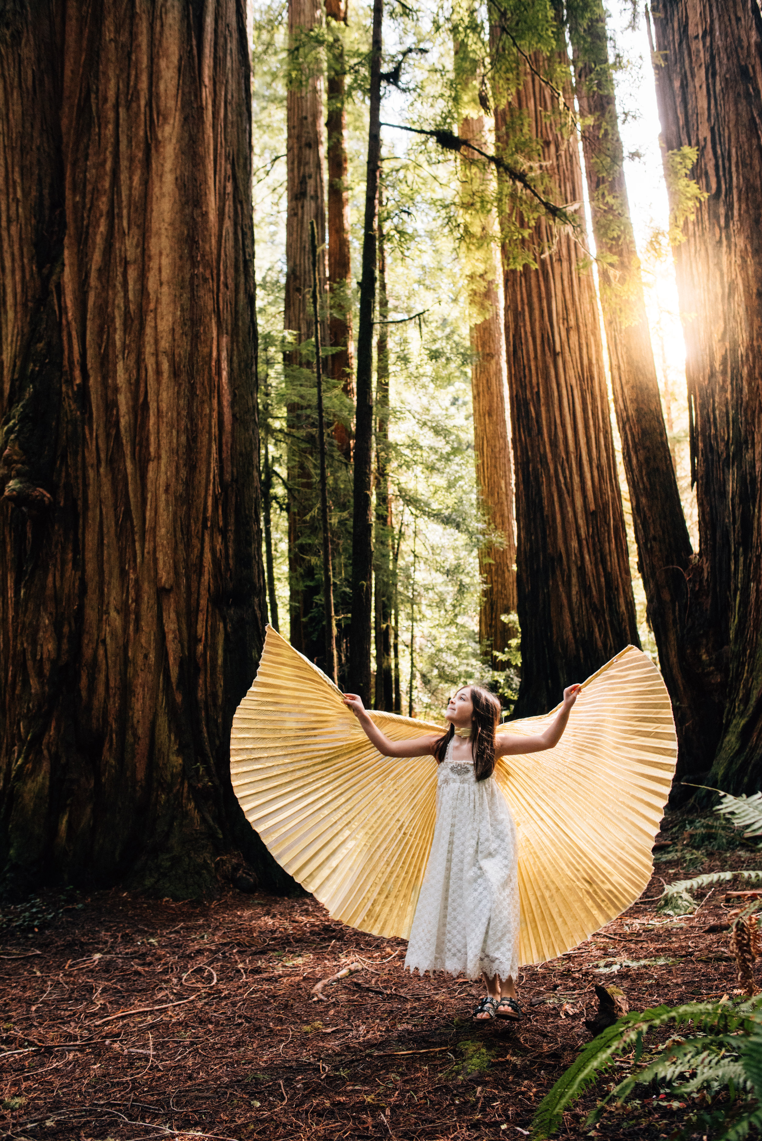 Chloe Redwoods Butterfly-26.jpg
