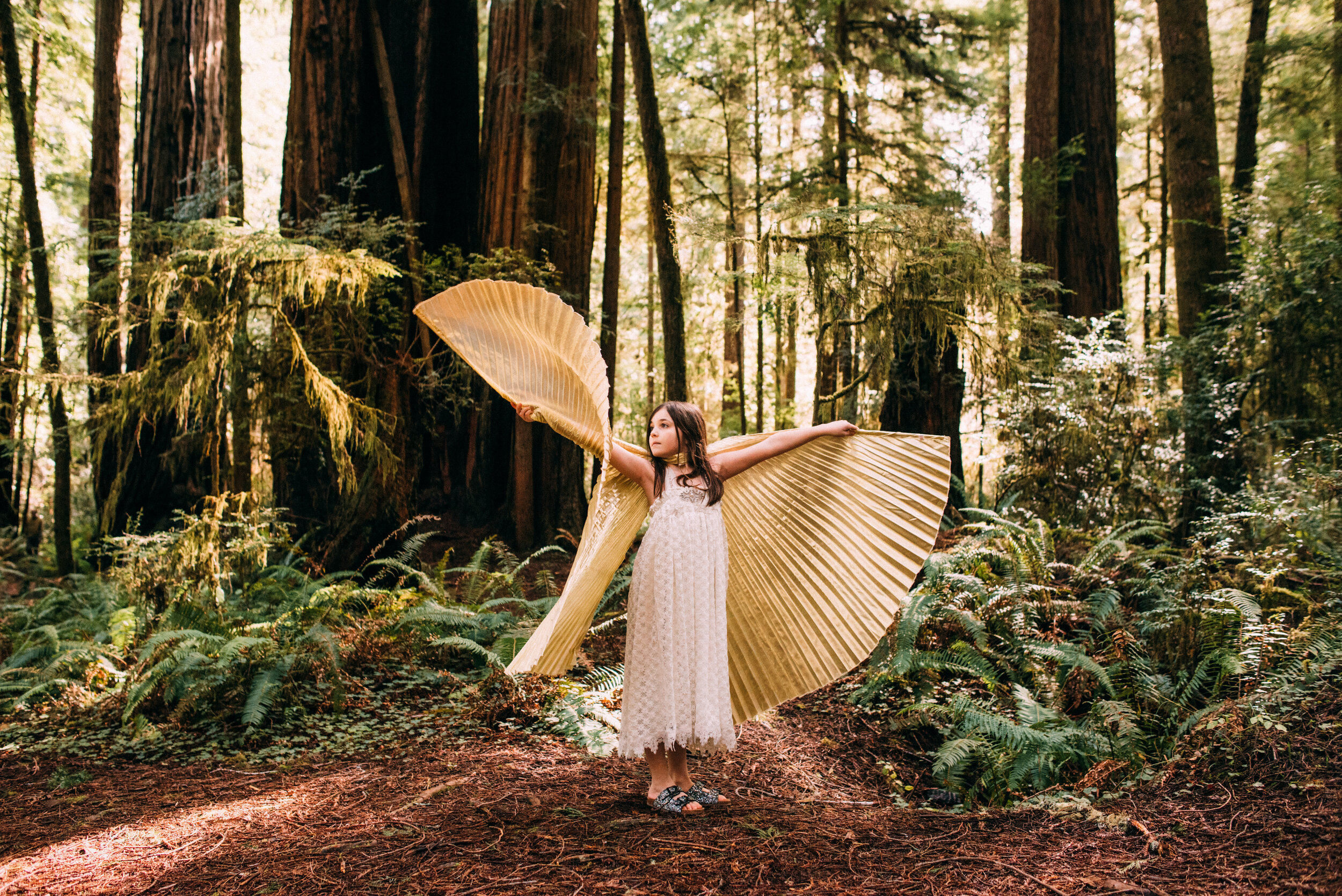Chloe Redwoods Butterfly-11.jpg
