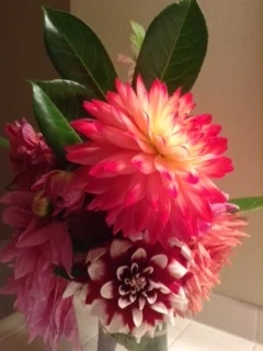 Vibrant Whidbey Island summer Dahlias are always an inspiration.