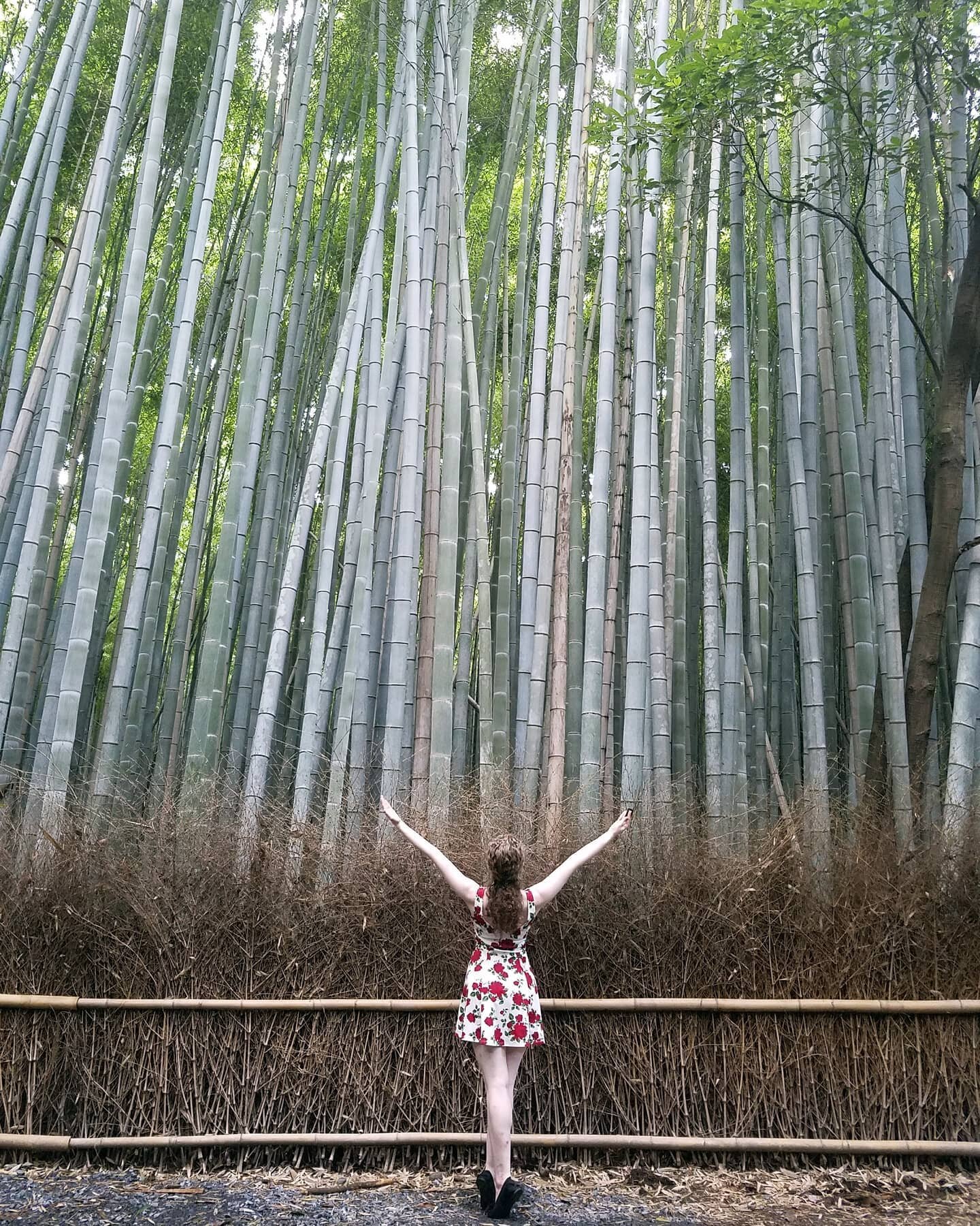 A sous-sus for bamboo.
.
.
📸 by me!
.
.
.
#bambooforest #bamboo #kyoto #japan #kyotojapan #japantravel #solotravel #travelgram #wanderlust #dametraveler #shotoftheday #gltlove #girlslovetravel #sheisnotlost #travelphotography #beautifudestinations #