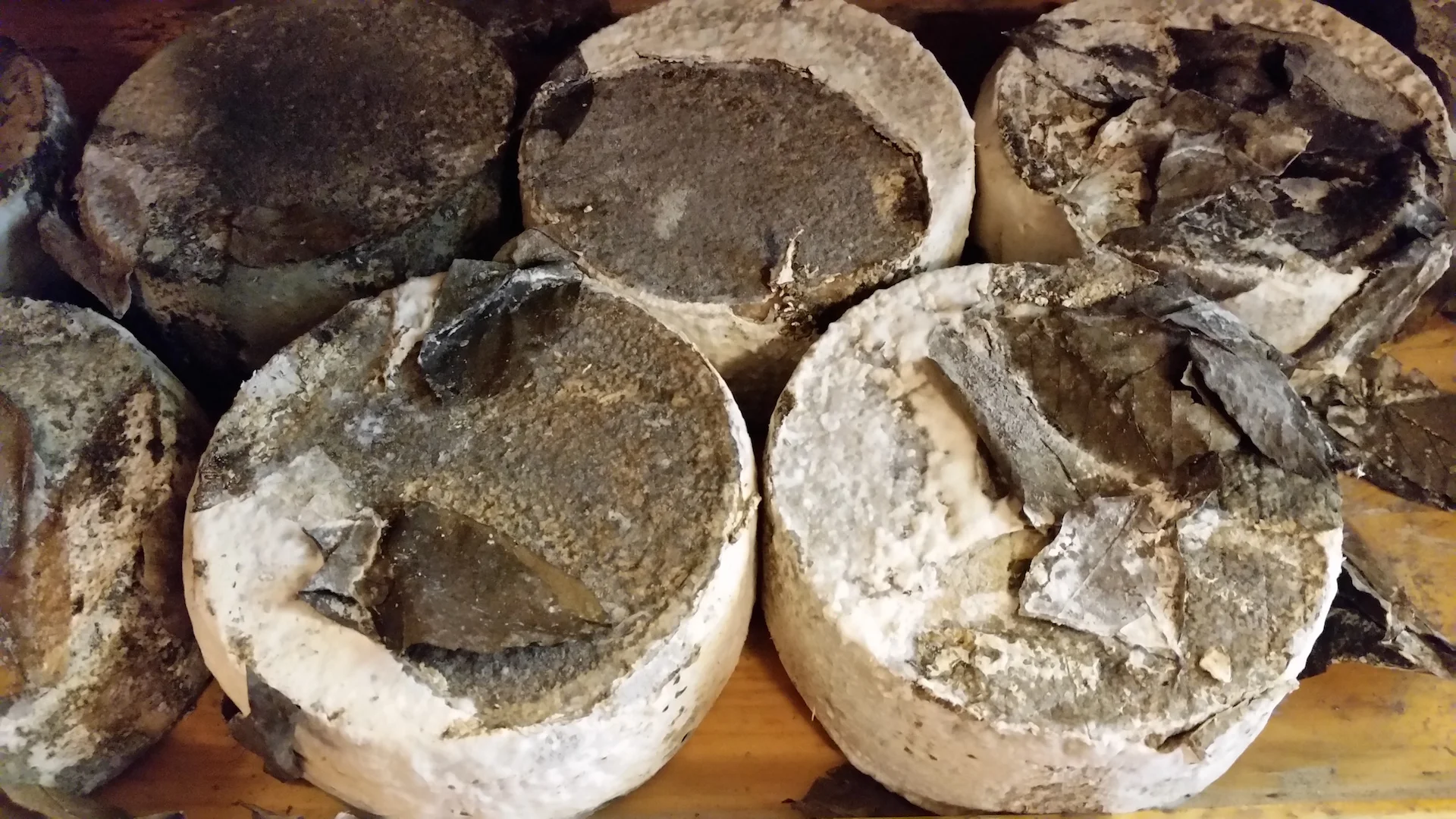  Piccolomini, Pienza, and Pecorino
