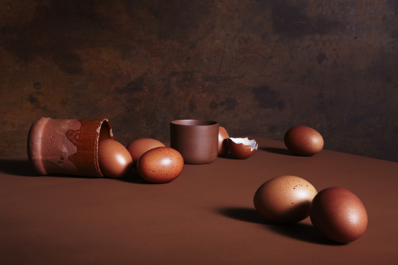 04_brown_exploration_of_eggs_ret_web-min.jpg