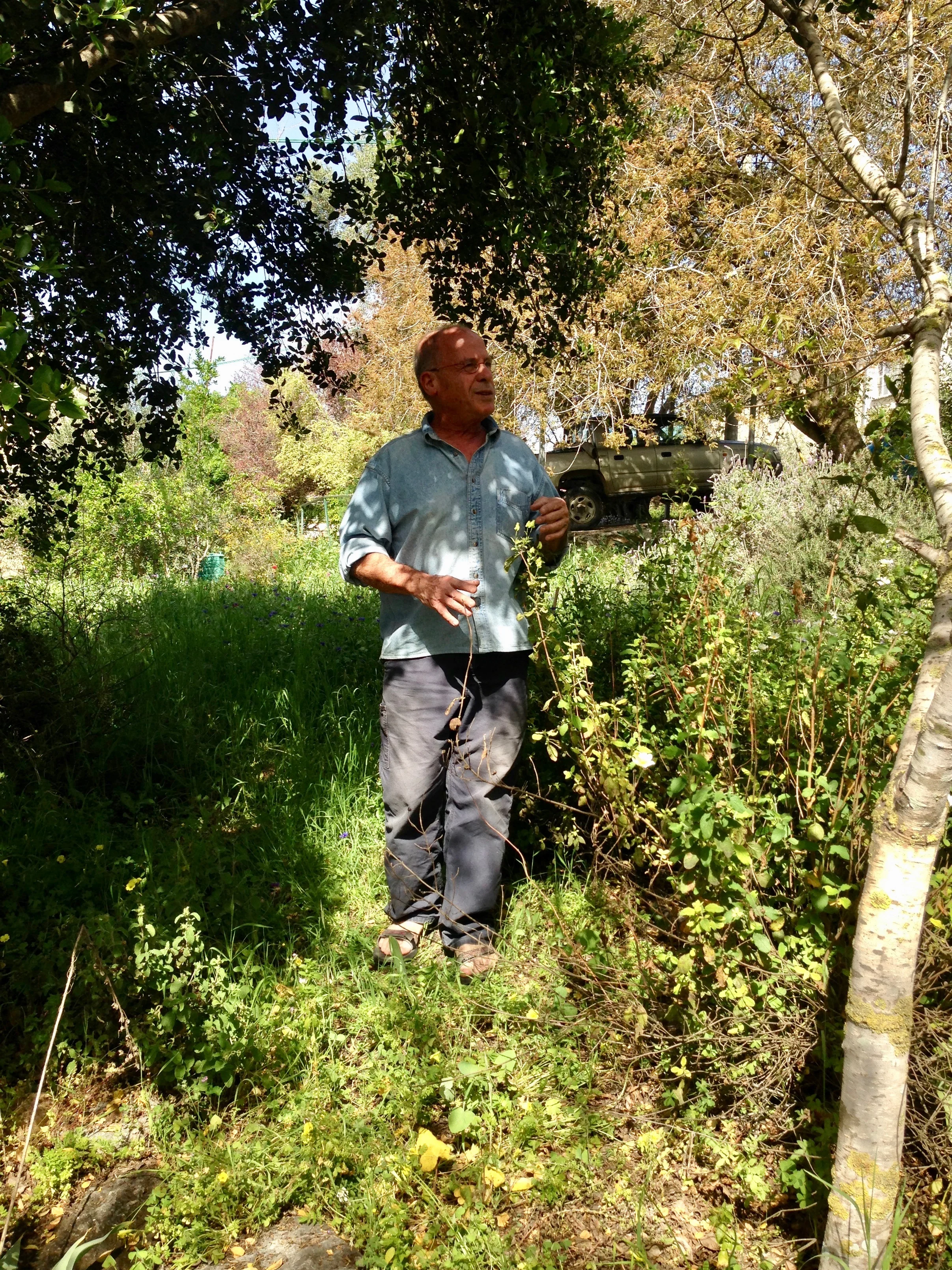 Israeli author Meir Shalev in his garden