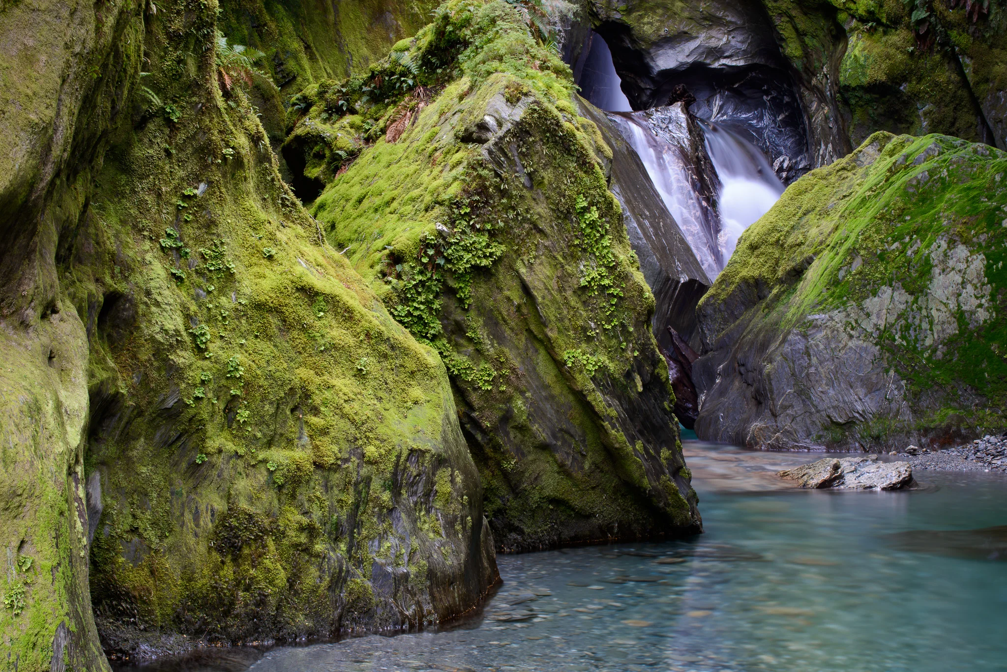 Haast Pass, South Island, New Zealand