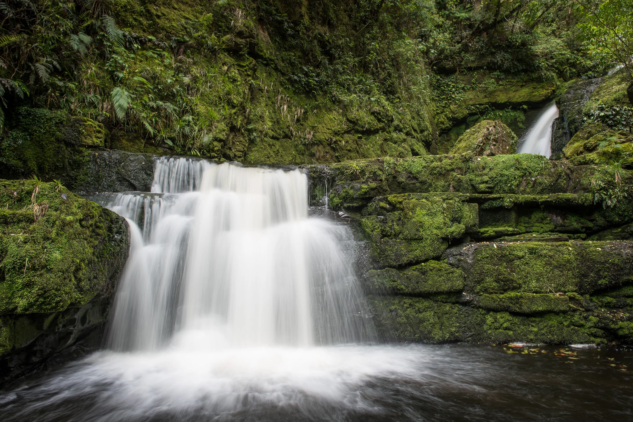 Mc Lean Falls, The Catlins, New Zealand