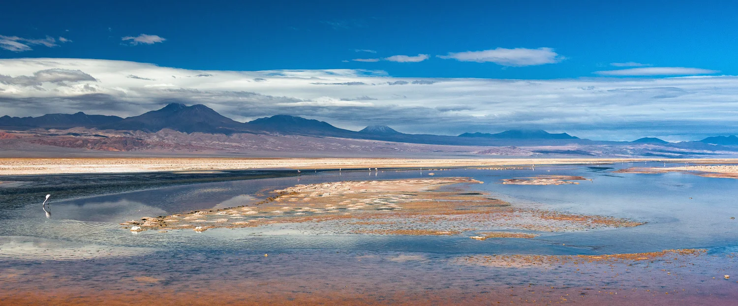 Laguna Chaxa, Salar de Atacama, Chile