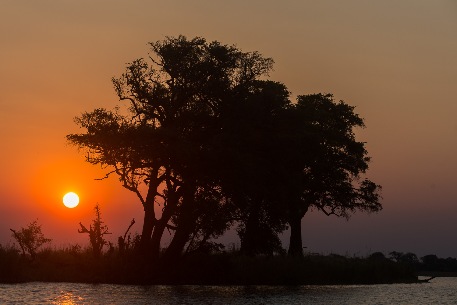 Chobe National Park, Botswana