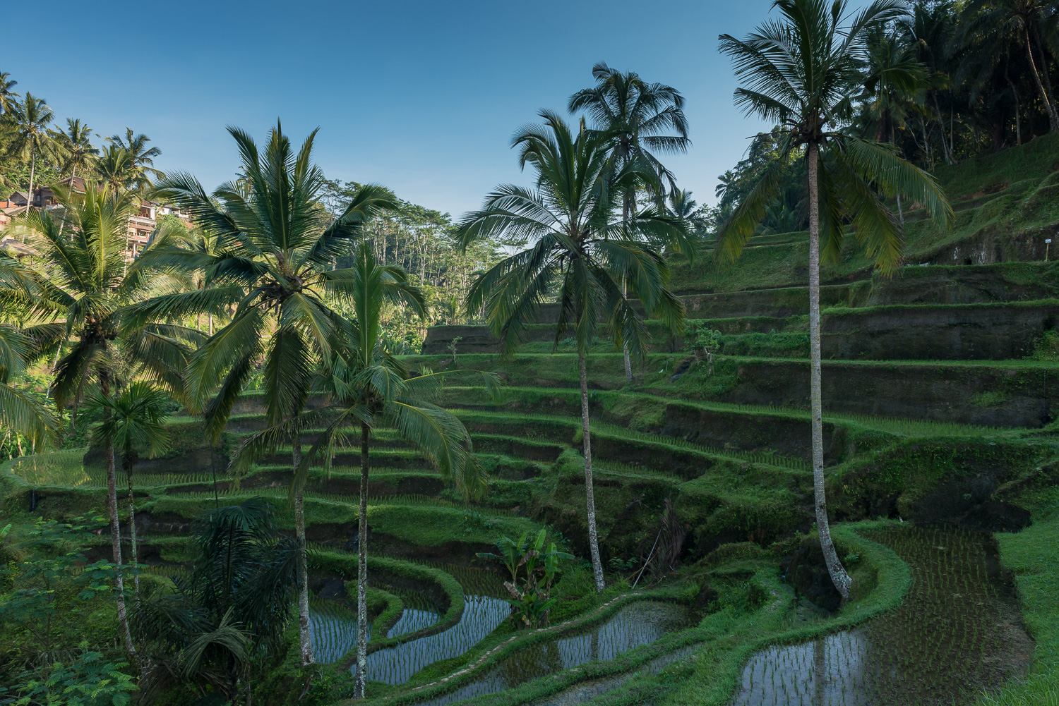 indonesia-june-2014-11.jpg