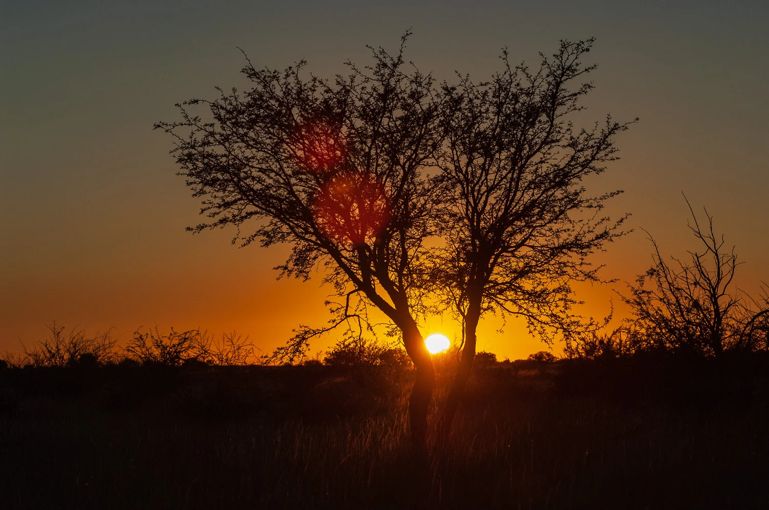 namibia-2006-4.jpg