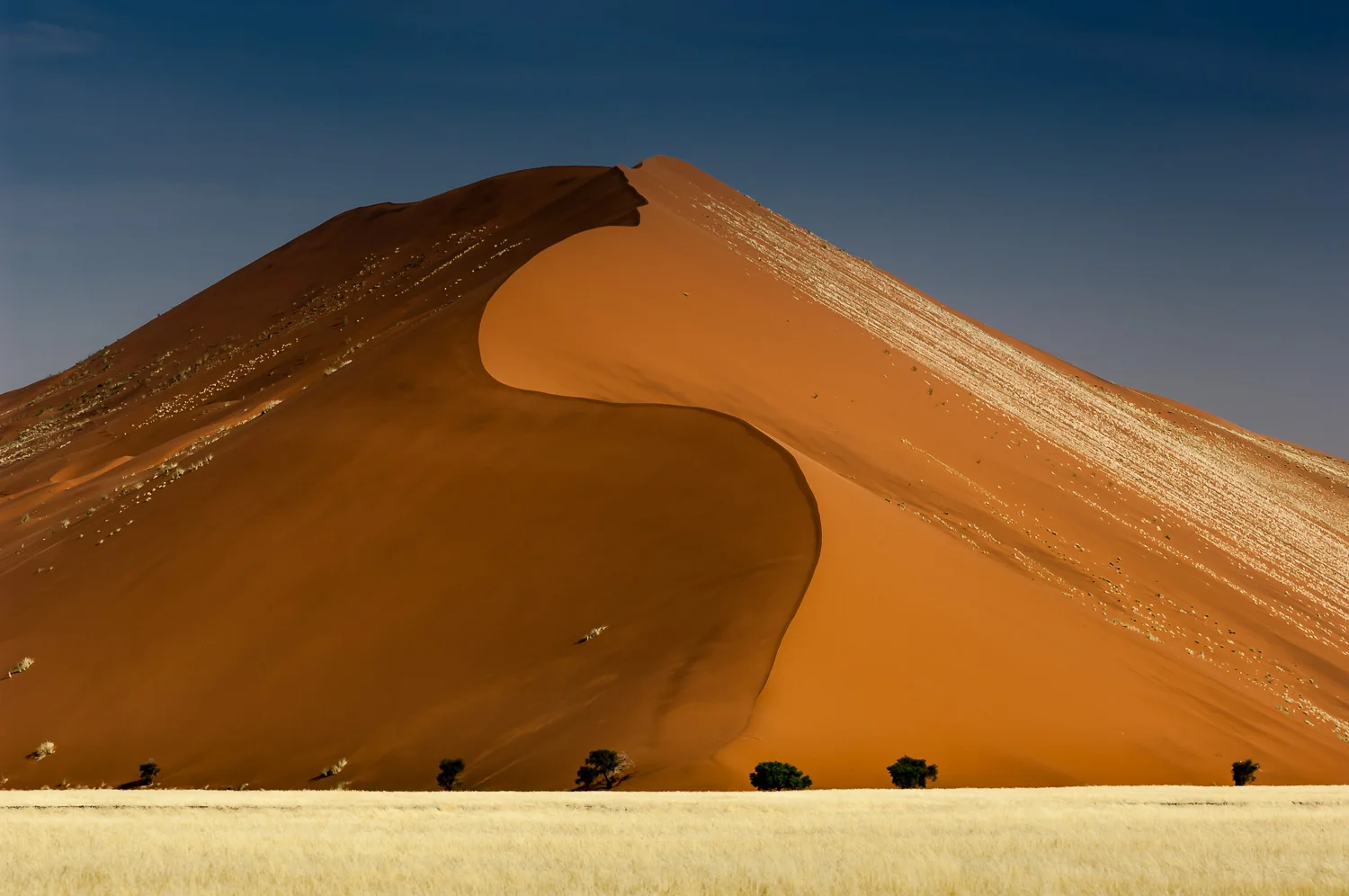 Sossusvlei, Namib Naukluft NP, Namibia