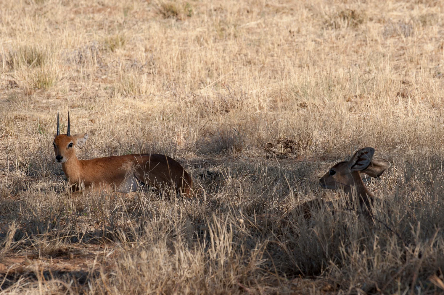 namibia-2010-3.jpg