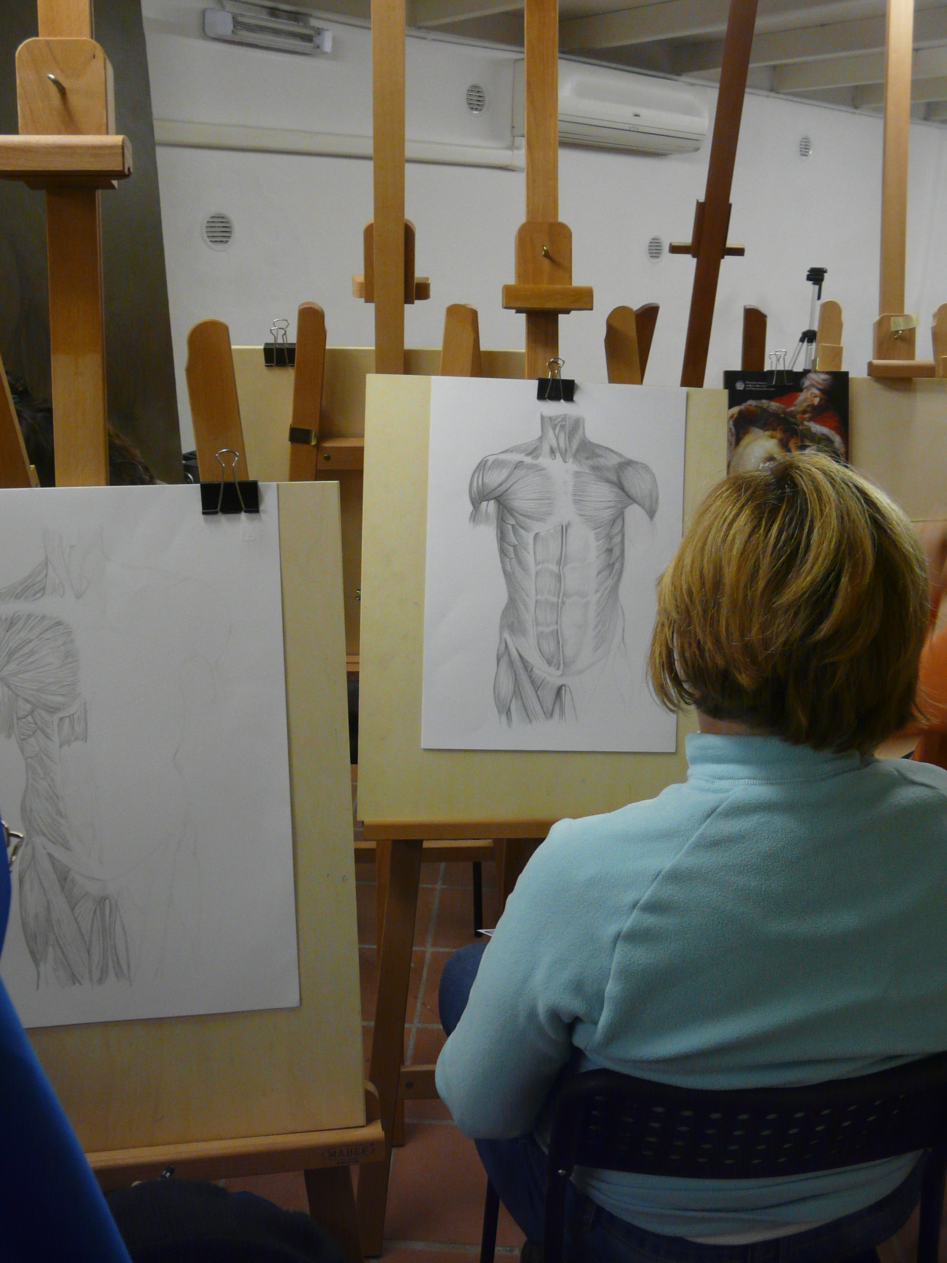Course of anatomy for artists