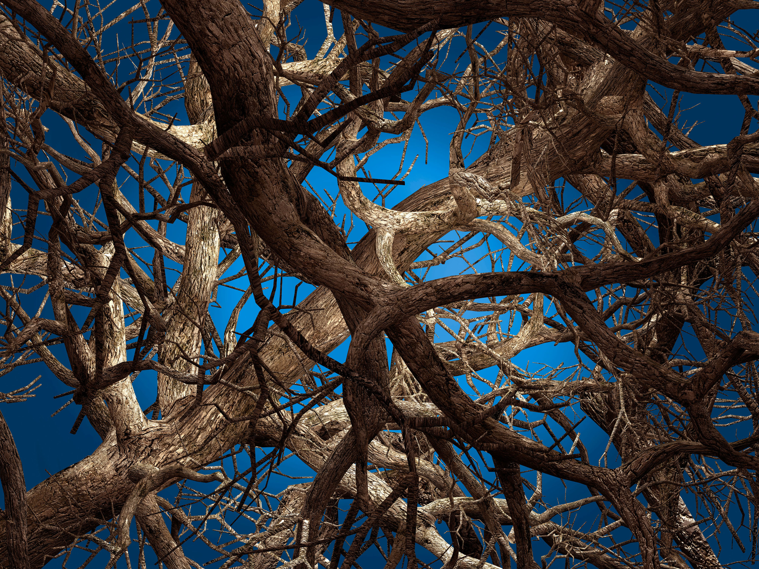 liquid_maple_by_broersen_and_lukacs_for_moooi_carpets-300dpi-moooi_1.jpg