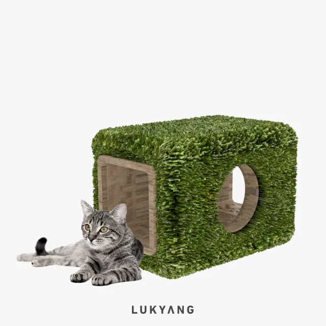 cat-1.jpg