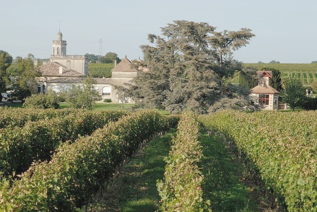 vinodlingar i medoc