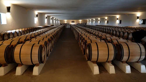 Château mouton. vinkällaren.