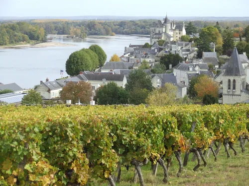 montsoreau, slottet och vinodlingar. foto lvt.