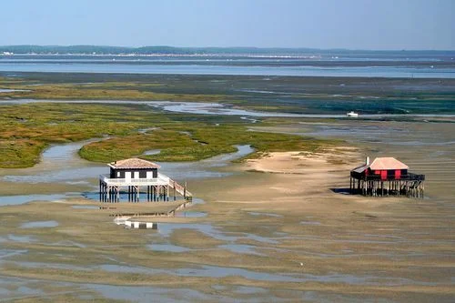 bassin d'arcachon vid ebb. foto k. deydier.