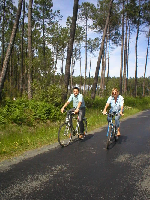 landes. cyklister i pinjeskogen.