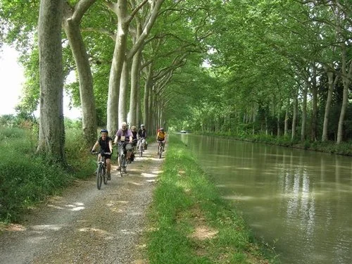 Canal du midi kantad av plataner.
