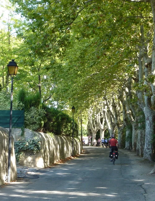 girolibero-photo-archive_28082882254_o.jpg