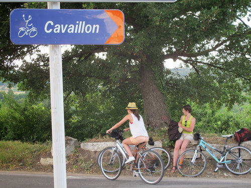 Cykelväg mot Cavaillon foto chemins du sud