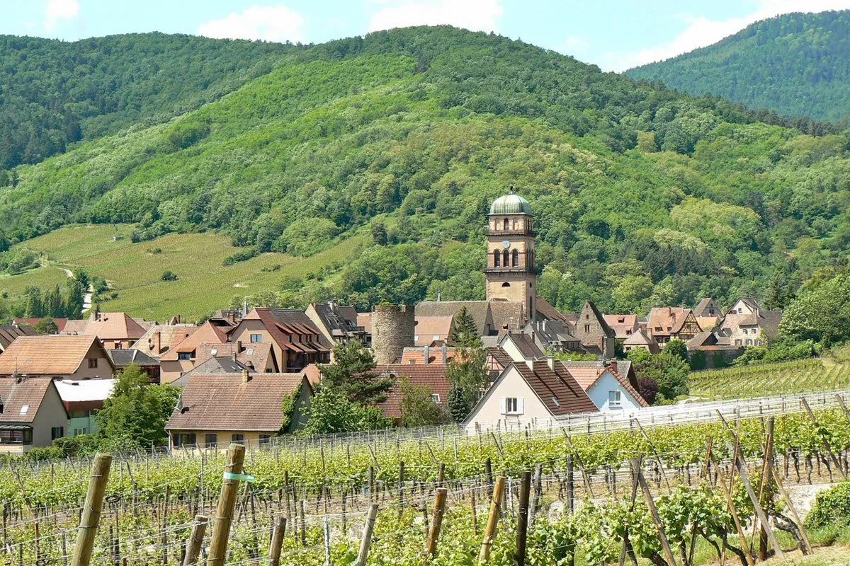 Cykeltur i Alsace. från Strasbourg till vinvägen