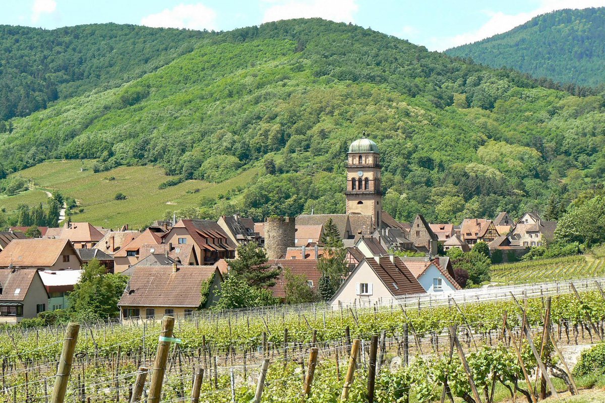 Alsace- Från Strasbourg till vinvägen 5d