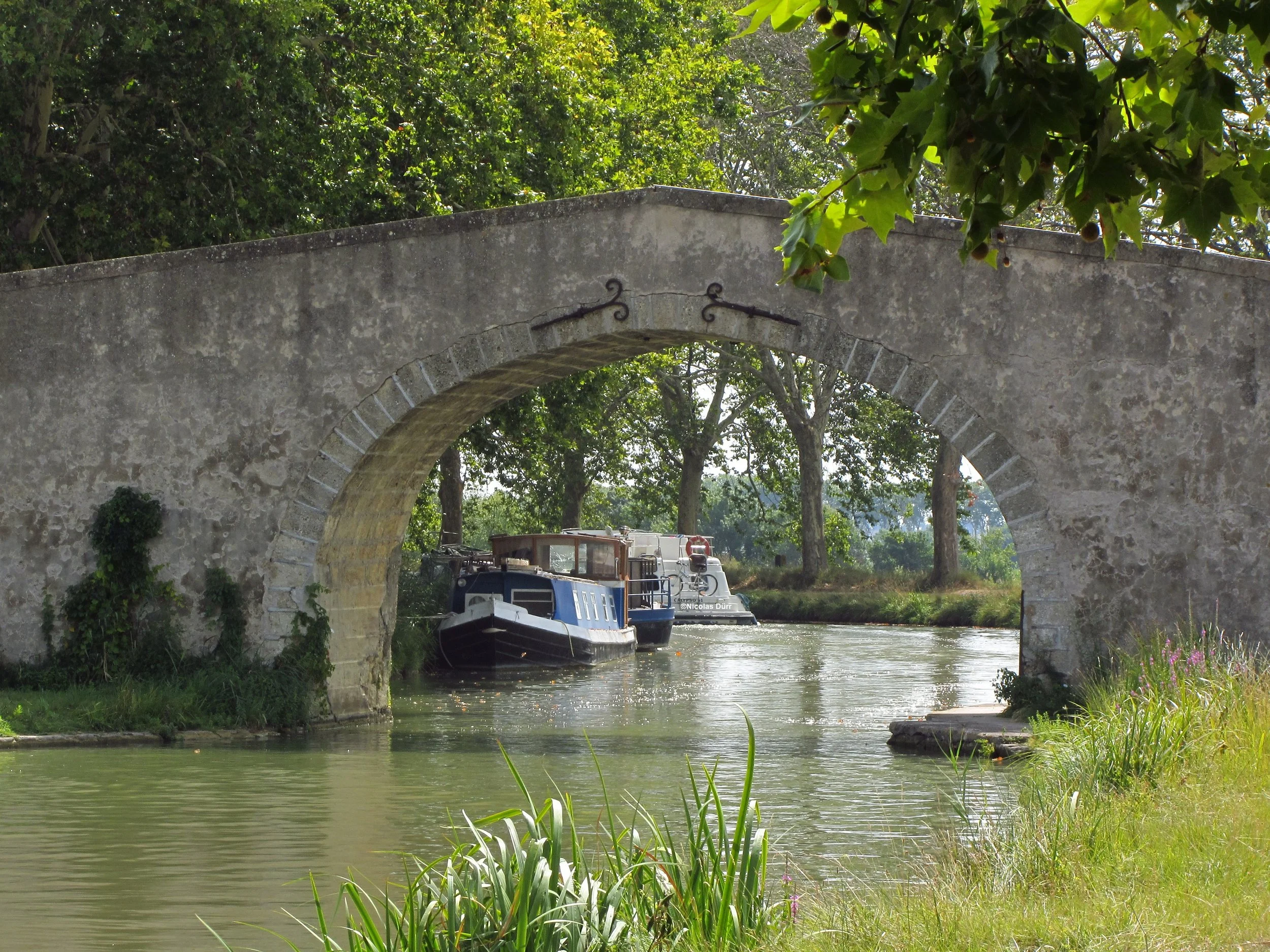 Canal du midi ©Nicolas Dürr.jpg