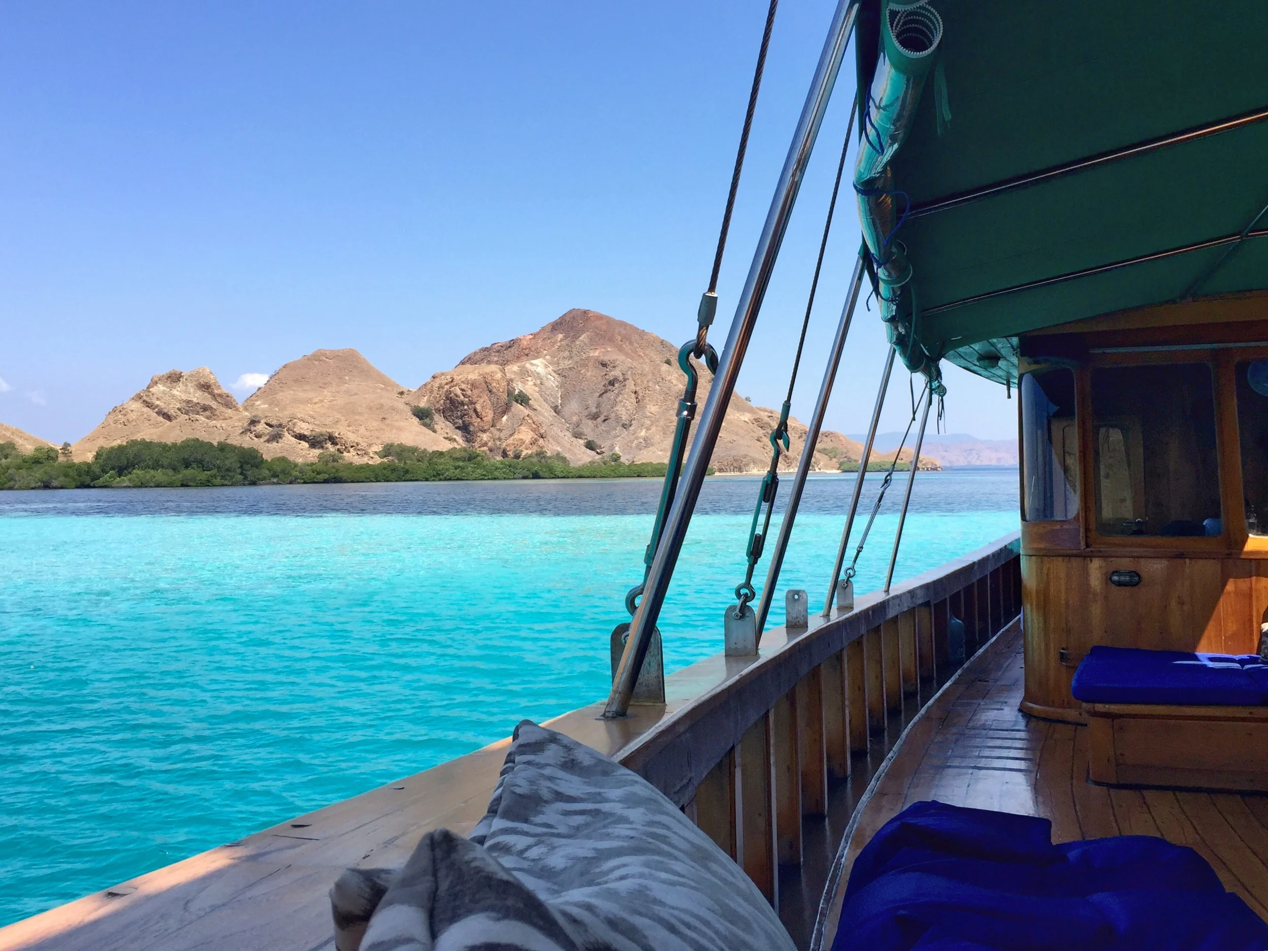 Life on the high seas