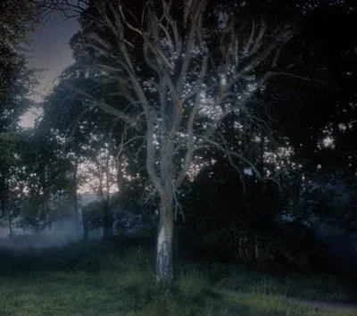  —|— SUBMISSION —|—  DIRECTION WORK ╭╯2013 