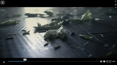  —|— SUBMISSION —|—  DIRECTION WORK ╭╯2013 