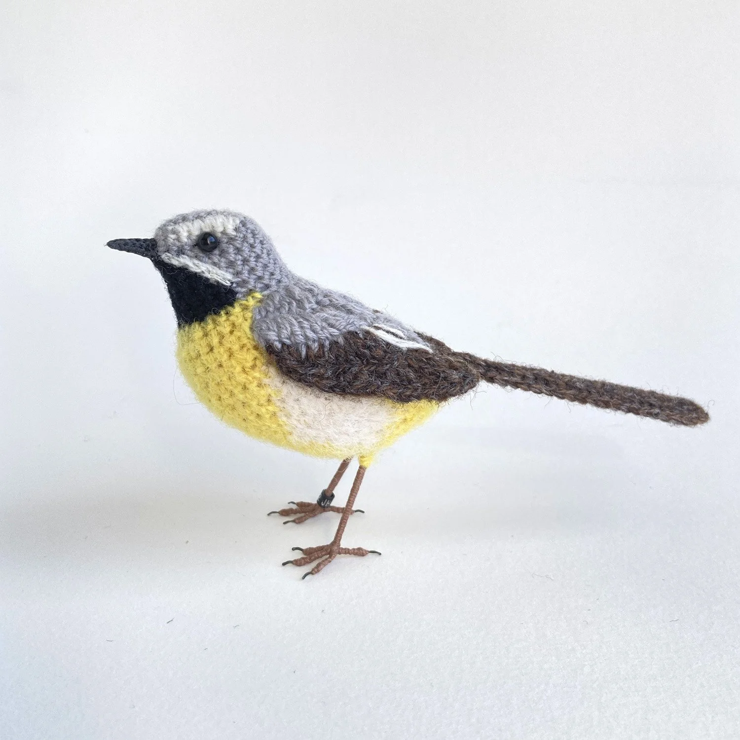2025 Grey wagtail 4 1500px - Jose Heroys.jpg