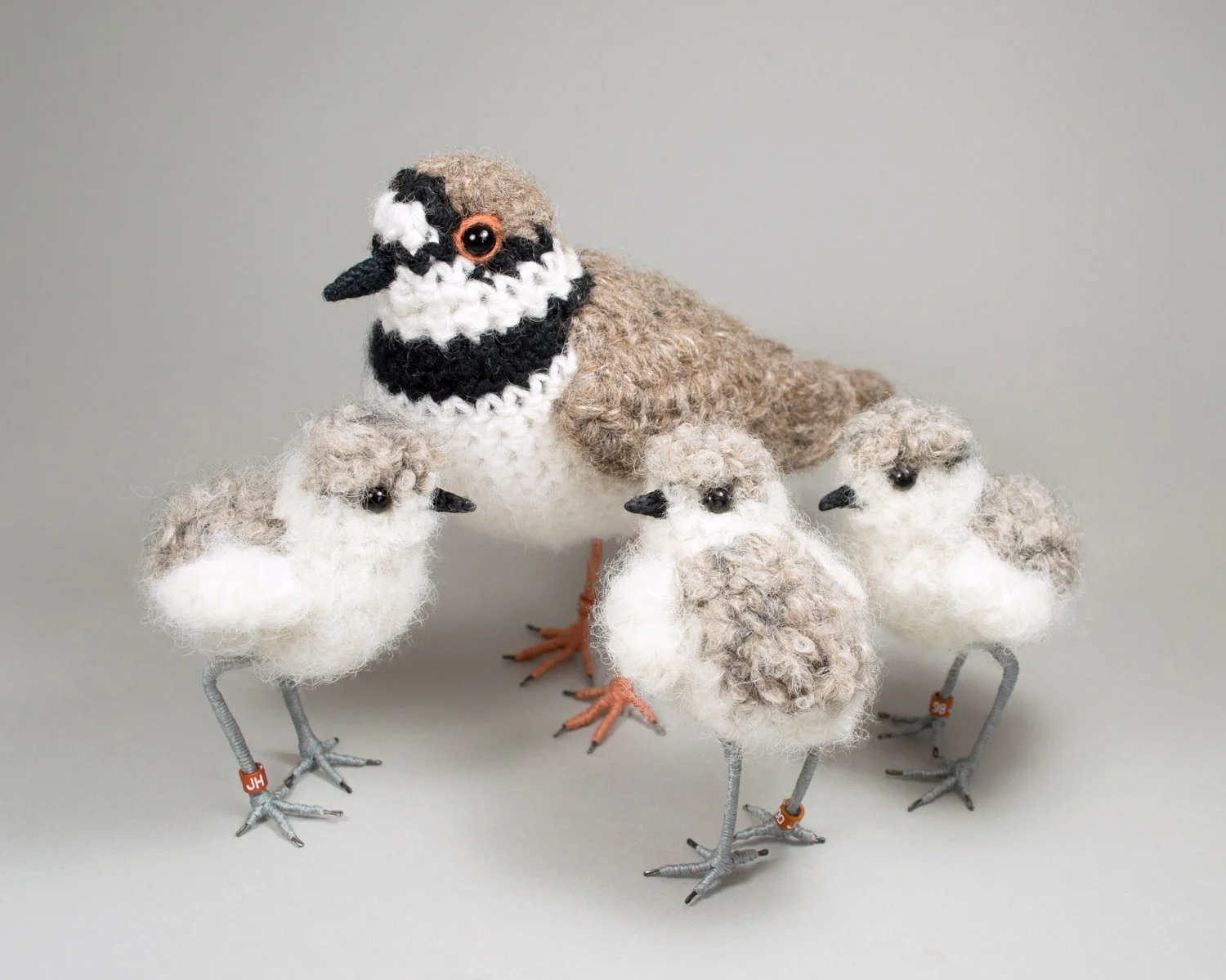 RingedPloverChicks G17 300dpi 1500px.jpg