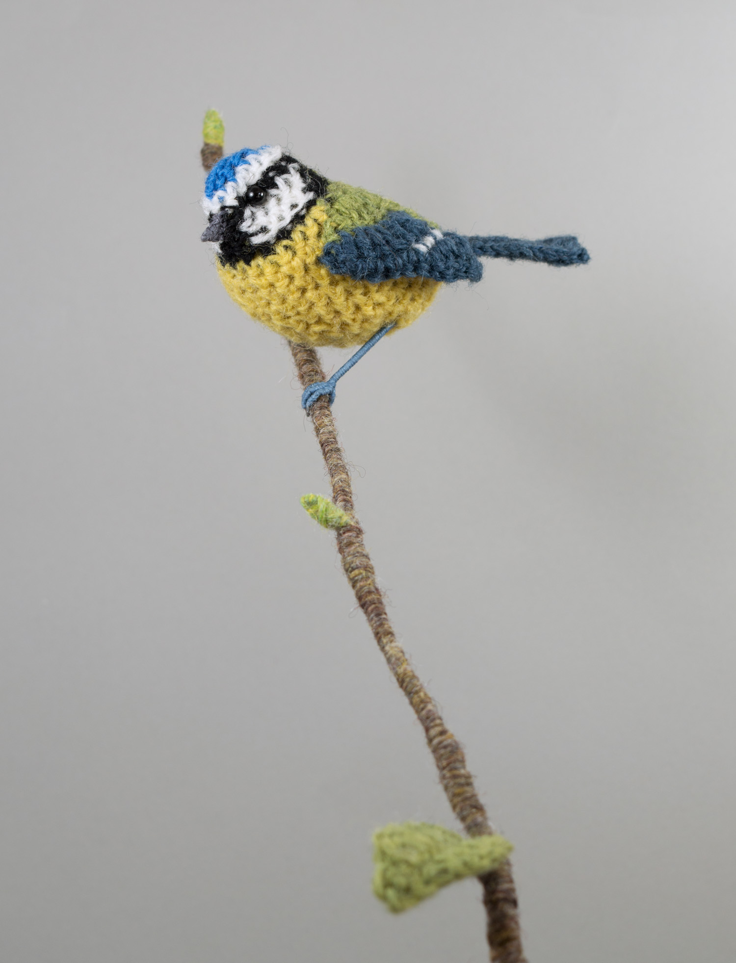 Vasebird - Bluetit 6 1500px 300dpi.jpg