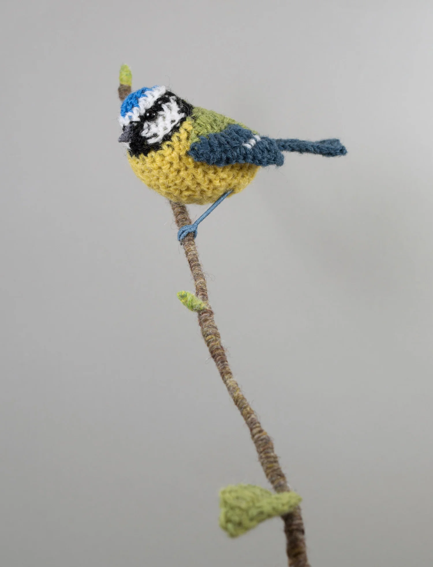 Vasebird - Bluetit 6 1500px 300dpi.jpg